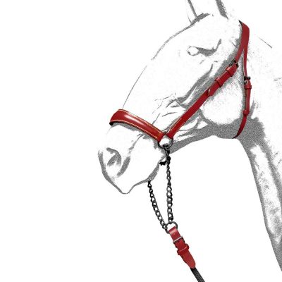 CABEZADA PRESENTACIÓN ANCHA CON RAMAL RONDA